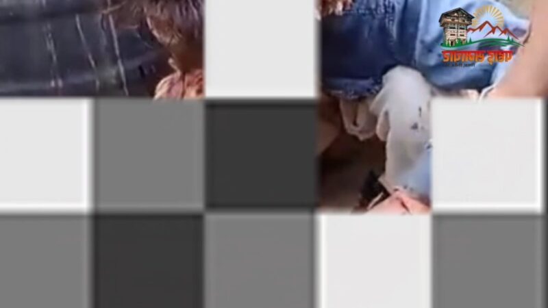 उत्तराखंड में गुलदार का आतंक : नीरज पर हमला, 30 मिनट तक लड़ी जिंदगी की जंग