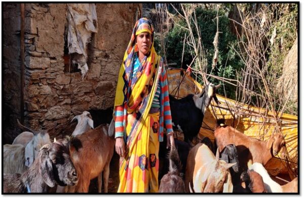 पर्वतीय आर्थिकी को नया संबल दे रही हैं ग्राम बबाई की रूपदेई देवी