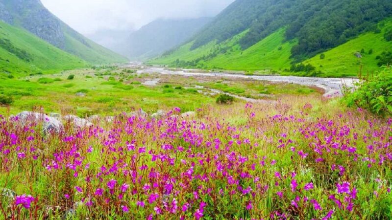 फूलों की घाटी पर्यटकों के लिए हुई बंद