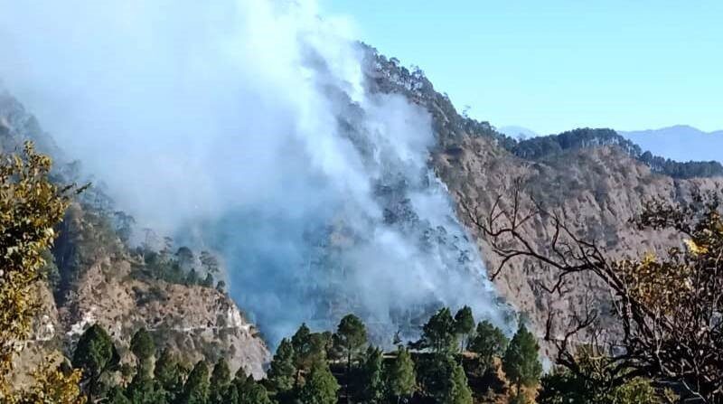 रैंसू क्षेत्र के जंगल में भड़की आग