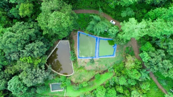 मत्स्य विभाग की पहल से पहाड़ में बढ़ रहा आधुनिक मत्स्य व्यवसाय, जिले में मत्स्य उत्पादन में उछाल, किसानों की बढ़ी आमदनी