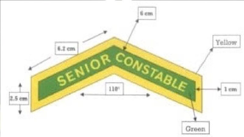 ITBP में सिपाहियों की वरिष्ठता को नई पहचान : दाहिने हाथ पर लगेगी ‘सीनियर कांस्टेबल’ की पीली-हरी ‘फीती’