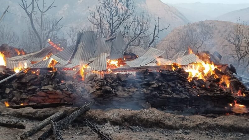 उत्तराखंड : मोरी क्षेत्र के ग्राम डामटी थुनारा में लगी भीषण आग, तीन मंजिला मकान जलकर राख