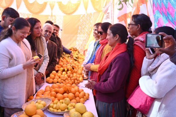 डीएम नितिका खण्डेलवाल के नेतृत्व में टिहरी गढ़वाल में पहली बार माल्टा महोत्सव आयोजित, कहा – कृषि एवं हॉर्टिकल्चर जनपद की रीढ़