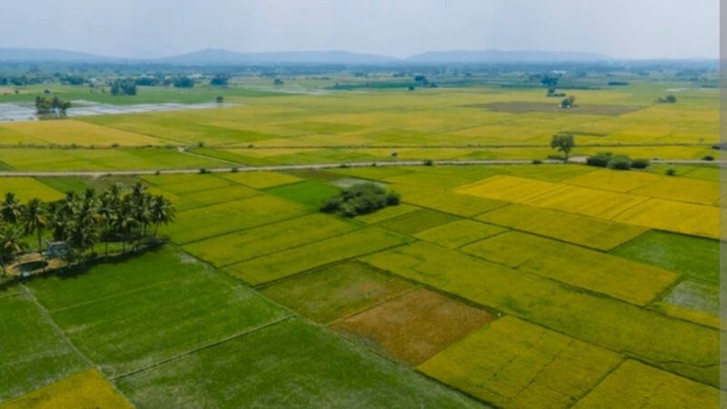 उत्तराखंड: जनजातीय क्षेत्र में 10 बीघा जमीन की खरीद पर उठे सवाल, जम्मू-कश्मीर निवासी पर आरोप,  पाकिस्तान से आया वीडियो?