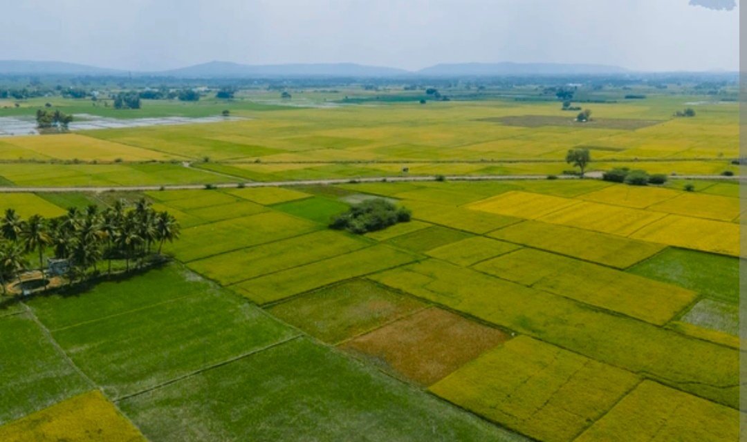 उत्तराखंड: जनजातीय क्षेत्र में 10 बीघा जमीन की खरीद पर उठे सवाल, जम्मू-कश्मीर निवासी पर आरोप,  पाकिस्तान से आया वीडियो?