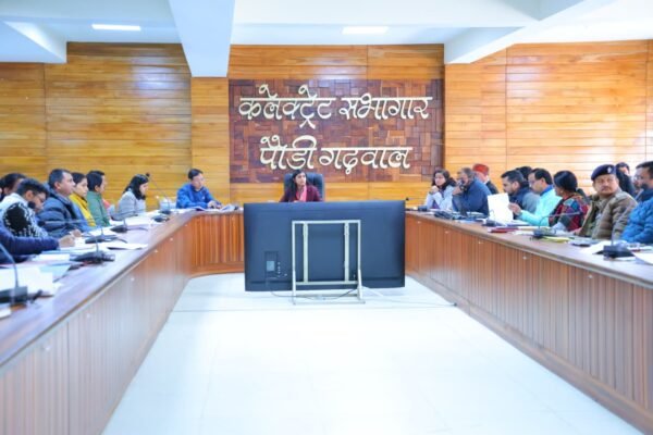 राजस्व वसूली, जीएसटी जांच और अवैध खनन पर डीएम स्वाति एस. भदौरिया सख्त; सभी विभागों को समयबद्ध कार्रवाई के दिए निर्देश