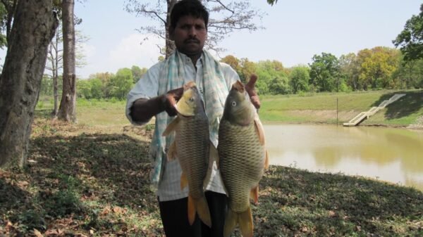 सहकारी व्यापार मेले में ICAR–IISWC द्वारा नवाचारी मत्स्य प्रौद्योगिकियों का हुआ प्रदर्शन, उन्नत तकनीकों से पर्वतीय परिस्थितियों में 100 वर्ग मीटर से 45–50 किलोग्राम मछली उत्पादन हुआ संभव