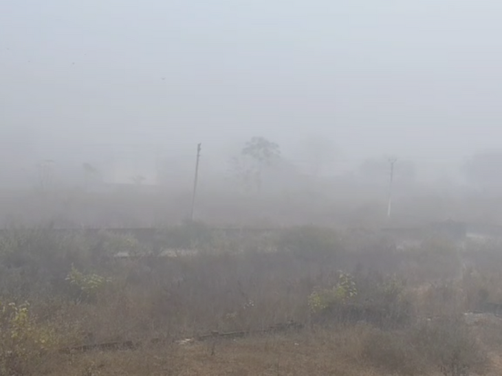 उत्तर भारत में भीषण शीतलहर और घने कोहरे का प्रकोप जारी, आज भी उड़ानें रद्द, रेल यातायात भी प्रभावित 