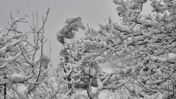 ज्योतिर्मठ में तीन माह बाद टूटा सूखे का सिलसिला