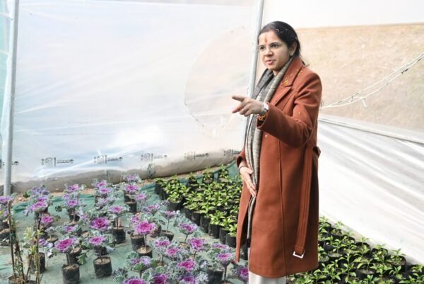 डीएम नितिका खण्डेलवाल ने नील चामेश्वर नर्सरी का किया उद्घाटन