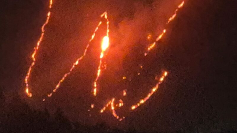 ज्योतिर्मठ के सामने चांई गांव के जंगलों में भीषण वनाग्नि