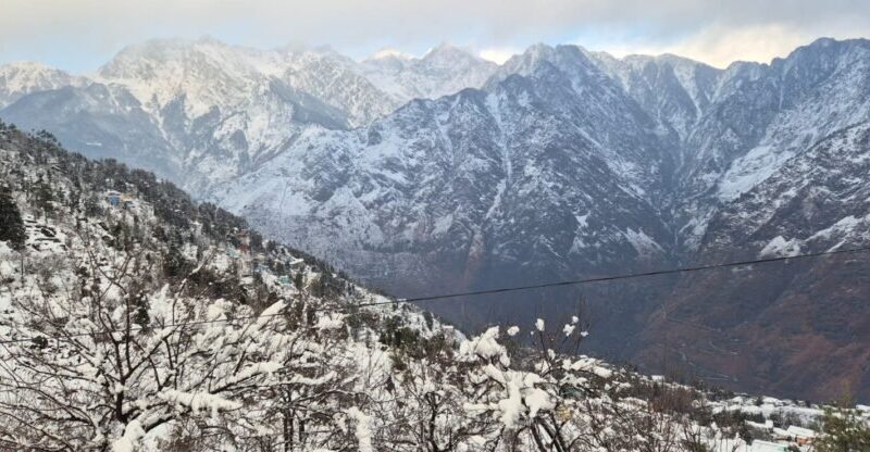 उत्तराखंड में भारी बर्फबारी: सफेद चादर में लिपटे बद्रीनाथ और औली