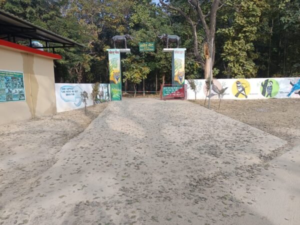 डीएम स्वाति एस. भदौरिया की पहल पर सनेह क्षेत्र में दो दिवसीय बर्ड वाचिंग महोत्सव का होगा आयोजन; 31 जनवरी व 1 फरवरी को प्रकृति, पक्षी संरक्षण और पहचान पर केंद्रित रहेगा आयोजन