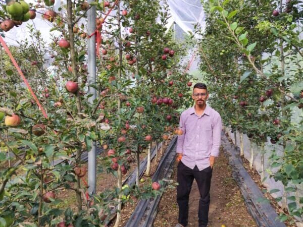 एप्पल मिशन की बदौलत टिहरी के सतीश ने लिखी कामयाबी की नई इबारत, पहले सीजन में कमाए 2.5 लाख