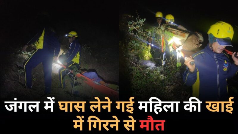 जंगल में घास लेने गई महिला की खाई में गिरने से मौत