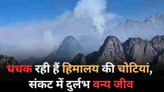 इस मौसम में भी धधक रही हैं हिमालय की चोटियाँ