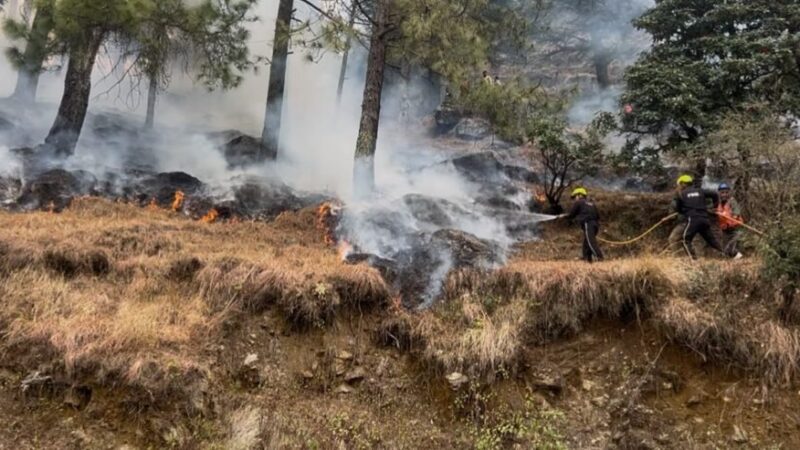 नंदा देवी राष्ट्रीय पार्क में वनाग्नि सुरक्षा हेतु संयुक्त मॉक ड्रिल संपन्न