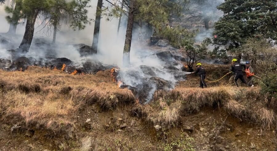 नंदा देवी राष्ट्रीय पार्क में वनाग्नि सुरक्षा हेतु संयुक्त मॉक ड्रिल संपन्न