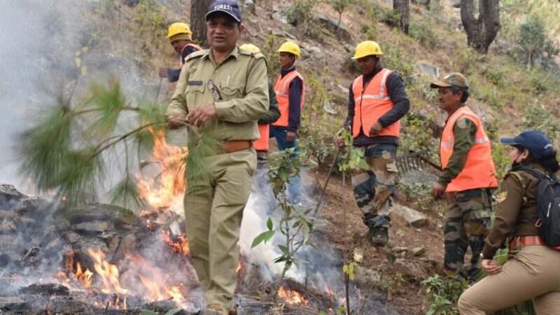 चमोली में माॅक ड्रिल से जांची वनाग्नि सुरक्षा की व्यवस्थाएं