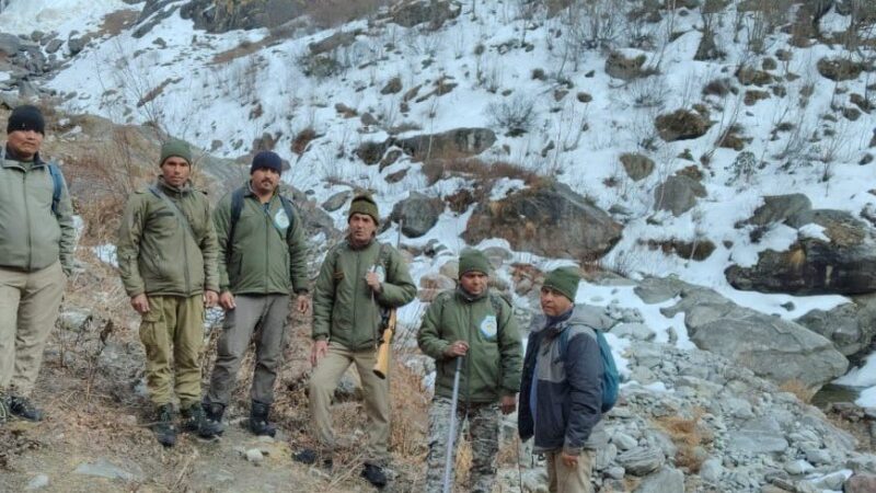 फूलों की घाटी में कैमरे में कैद हुए कस्तुरी मृग, स्नो लेपर्ड और मोनाल