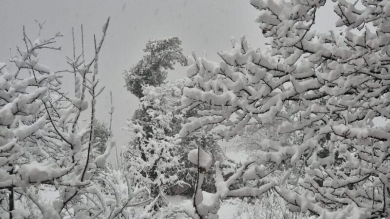 चमोली में भारी बर्फबारी और बारिश से बढ़ी ठिठुरन