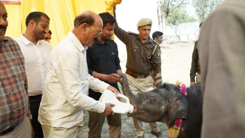 वन्यजीव संरक्षण एवं प्रबंधन को सशक्त बनाने की दिशा में निरंतर प्रयास – सुबोध उनियाल