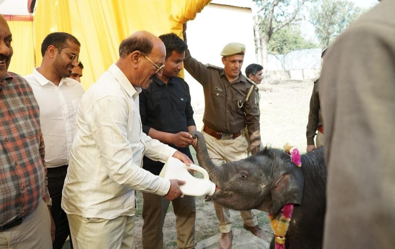 वन्यजीव संरक्षण एवं प्रबंधन को सशक्त बनाने की दिशा में निरंतर प्रयास – सुबोध उनियाल