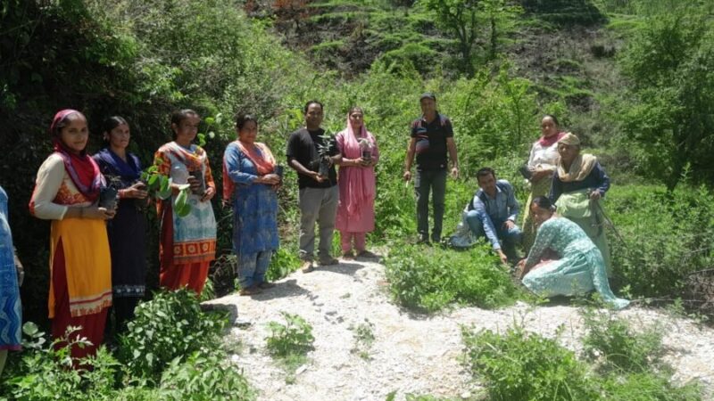 सीएम धामी की योजनाओं से बदली तकदीर, अतोला देवी बनीं ग्रामीण महिला सशक्तिकरण की मिसाल, नर्सरी से लाखों की आय