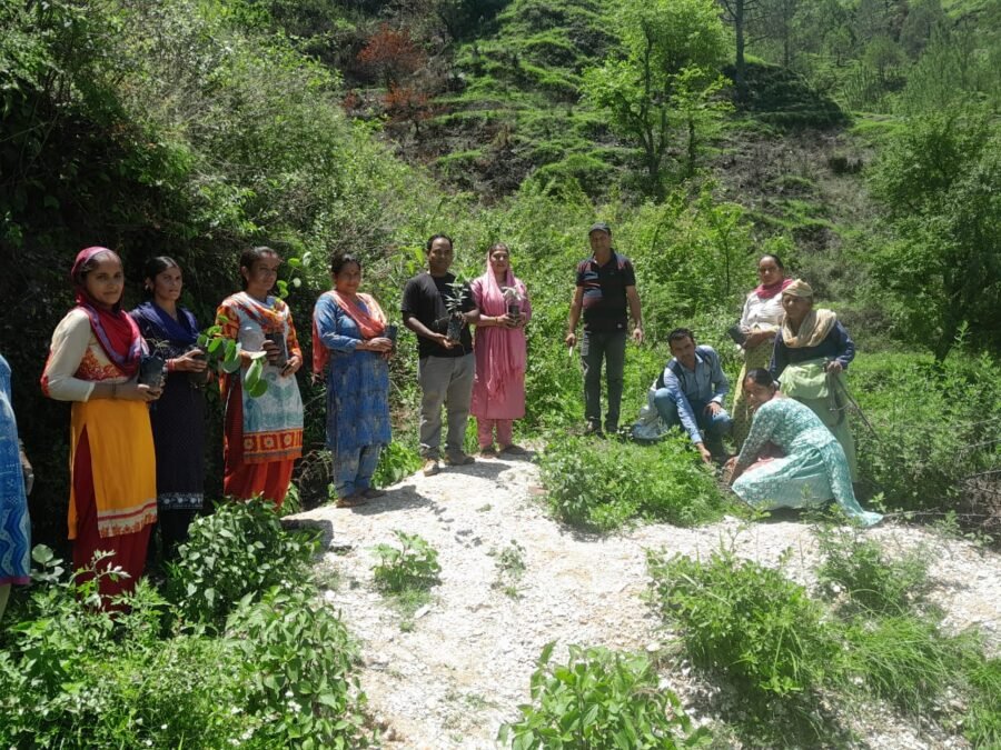 सीएम धामी की योजनाओं से बदली तकदीर, अतोला देवी बनीं ग्रामीण महिला सशक्तिकरण की मिसाल, नर्सरी से लाखों की आय