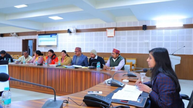 दिव्यांगों को स्वरोजगार के लिए प्रेरित कर योजनाओं से करें लाभान्वित – डीएम स्वाति एस. भदौरिया