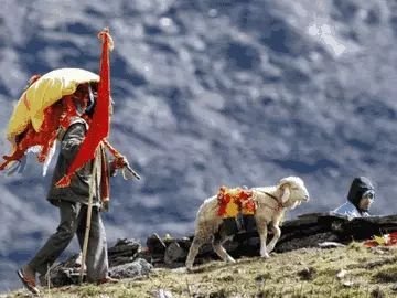 नंदादेवी राजजात यात्रा मार्ग के कार्यों को जल्द किया जाएगा पूरा – डीएम गौरव कुमार