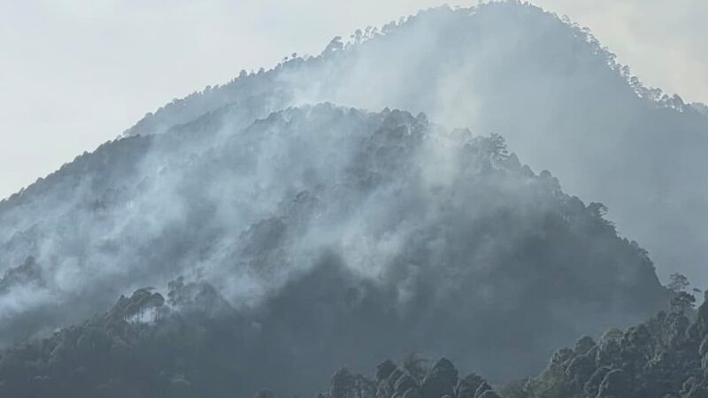 उठो जागो वन विभाग, जंगलों को आग से बचाओ