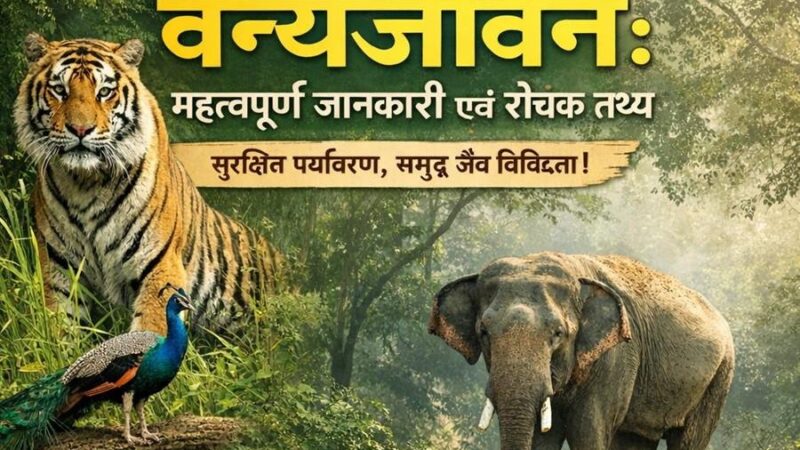 वन्यजीवन के बारें में महत्वपूर्ण जानकारी एवं रोचक तथ्य ………