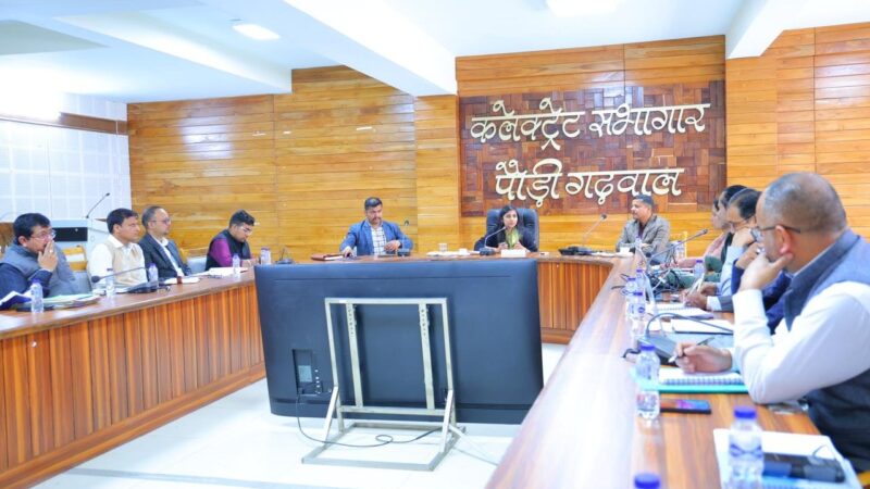 डीएम स्वाति एस. भदौरिया की अध्यक्षता में जिला स्तरीय समन्वय समिति की बैठक, कृषि, पशुपालन, उद्यान और आजीविका योजनाओं के कन्वर्जेंस पर हुई चर्चा