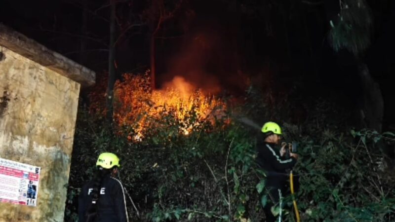एसएसबी फायरिंग रेंज के पास जंगल में लगी आग, फायर सर्विस टीम की त्वरित कार्यवाही से समय रहते बड़ा हादसा टला