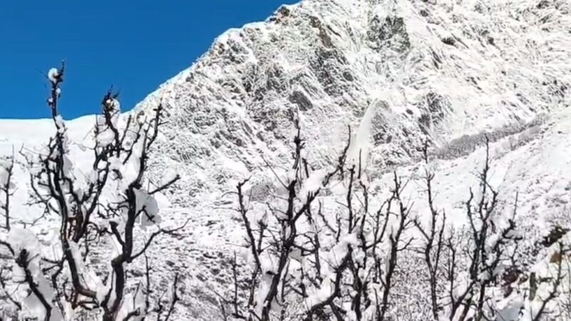 उत्तरकाशी : बर्फ से ढकी चोटियां चमकीं, सेब के बागवानों के लिए बड़ी राहत