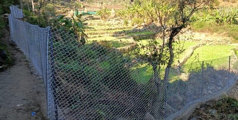 डीएम स्वाति एस. भदौरिया की पहल से किसानों को बड़ी राहत, जंगली जानवरों से फसलों की सुरक्षा के लिए घेरबाड़ योजना बनी कारगर, 339 हेक्टेयर कृषि भूमि सुरक्षित