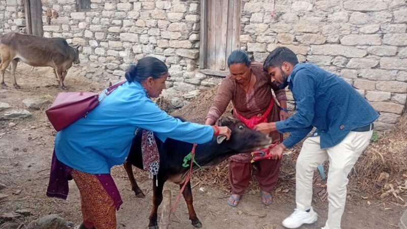 पशु सखी बनीं गांव की डॉक्टर दीदी, बदली ग्रामीण महिलाओं की तकदीर