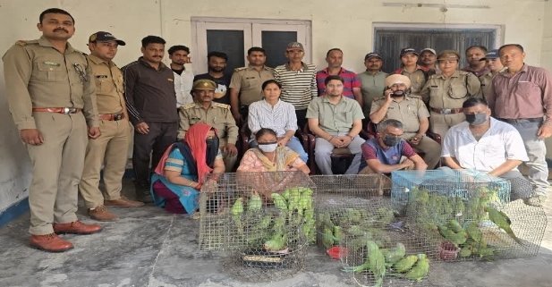 पूर्व केंद्रीय मंत्री मेनका गांधी की सूचना पर छापा, 109 संरक्षित तोते बरामद, चार गिरफ्तार