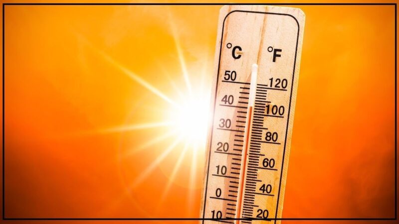 उत्तर भारत में भीषण गर्मी का कहर : इन राज्यों में पारा 40°C पार, दिल्ली समेत 10 राज्यों में हीटवेव अलर्ट