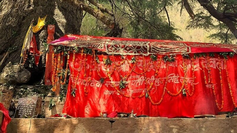 आम श्रद्धालुओं के दर्शनों को एक मई को खुलेंगे लाटू धाम के कपाट