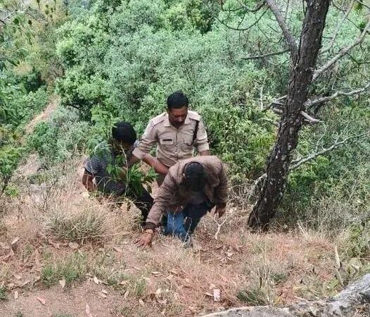 सेल्फी का जुनून पड़ा भारी, गहरी खाई में गिरा युवक