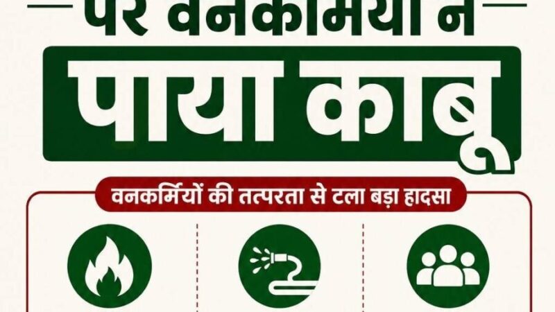 नलगांव के जंगल में लगी आग पर वनकर्मियों ने पाया काबू