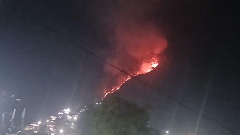 जंगलो में लगी आग से वन संपदा को हो रहा नुकसान