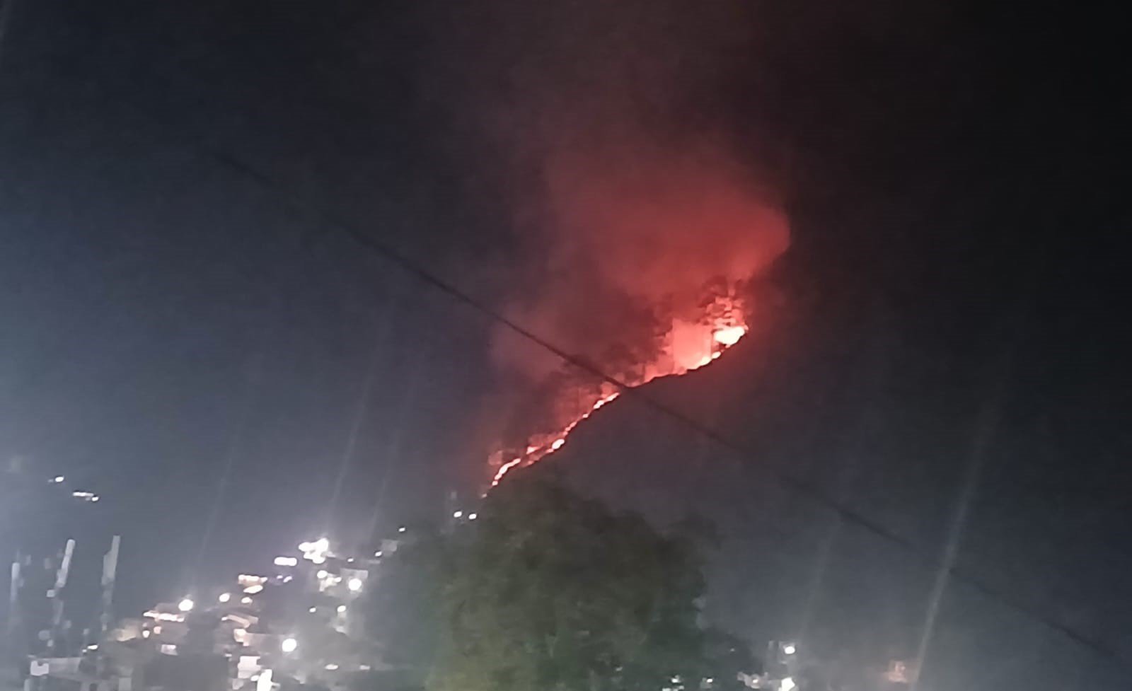 जंगलो में लगी आग से वन संपदा को हो रहा नुकसान