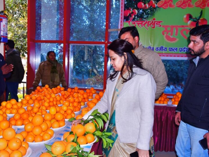 सात महीनों के कार्यकाल में विकास कार्यों को गति देने वाली जिलाधिकारी आकांक्षा कोंडे के तबादले को लेकर जनमानस में चर्चा तेज