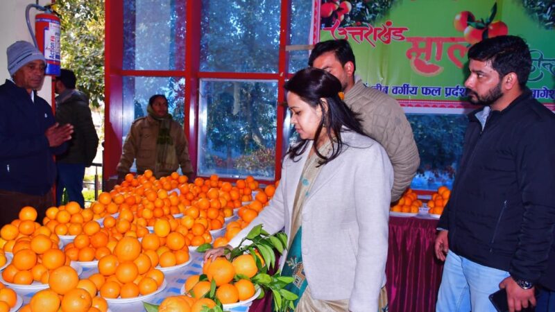 सात महीनों के कार्यकाल में विकास कार्यों को गति देने वाली जिलाधिकारी आकांक्षा कोंडे के तबादले को लेकर जनमानस में चर्चा तेज