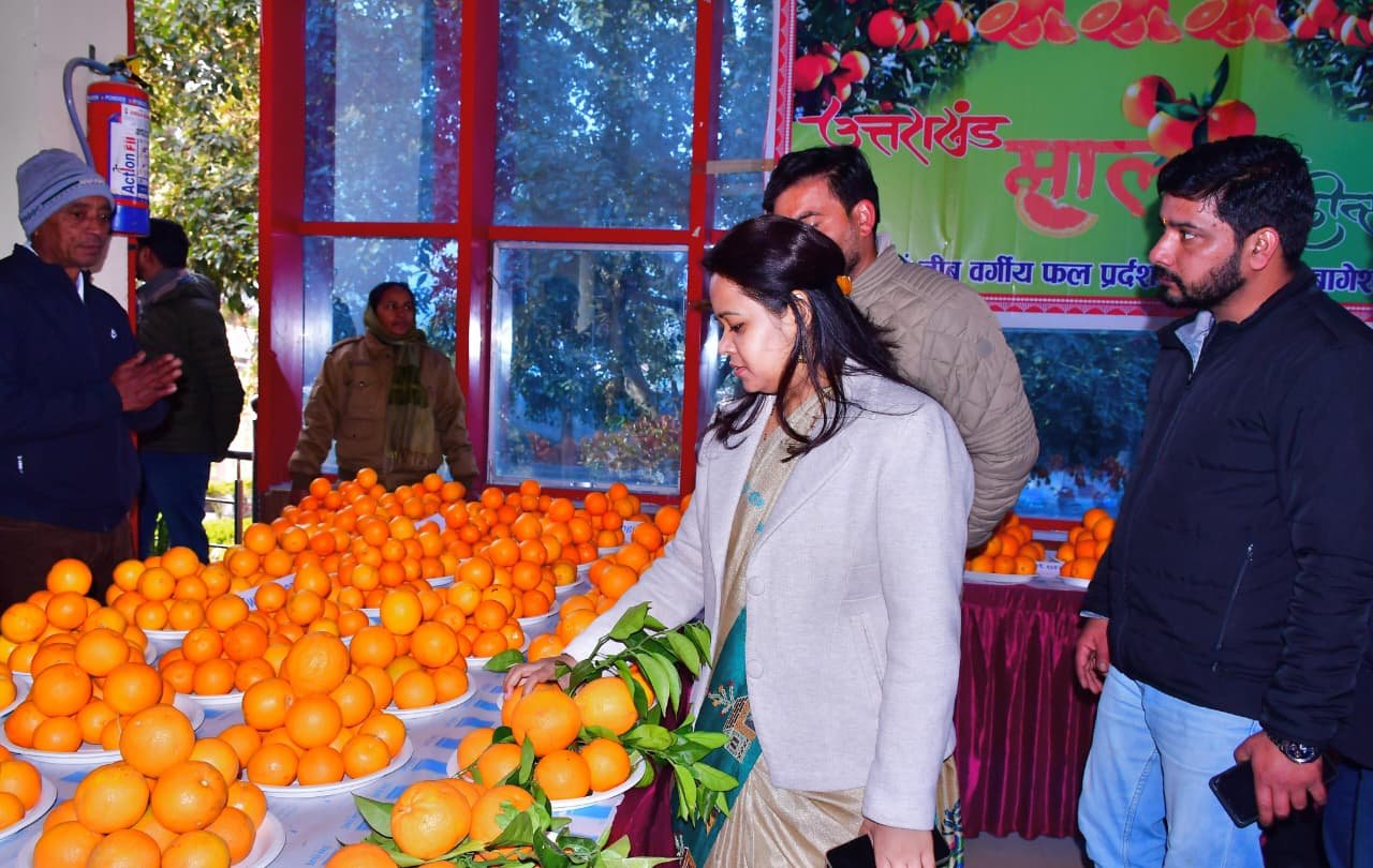 सात महीनों के कार्यकाल में विकास कार्यों को गति देने वाली जिलाधिकारी आकांक्षा कोंडे के तबादले को लेकर जनमानस में चर्चा तेज