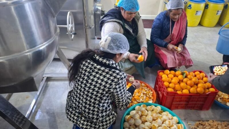 वेस्ट टू वेल्थ मॉडल बना महिलाओं की आय का सहारा, माल्टा के छिलकों से तैयार हो रहे हर्बल उत्पाद, पहाड़ की महिलाओं के लिए बन रहा आत्मनिर्भरता की नयी पहचान